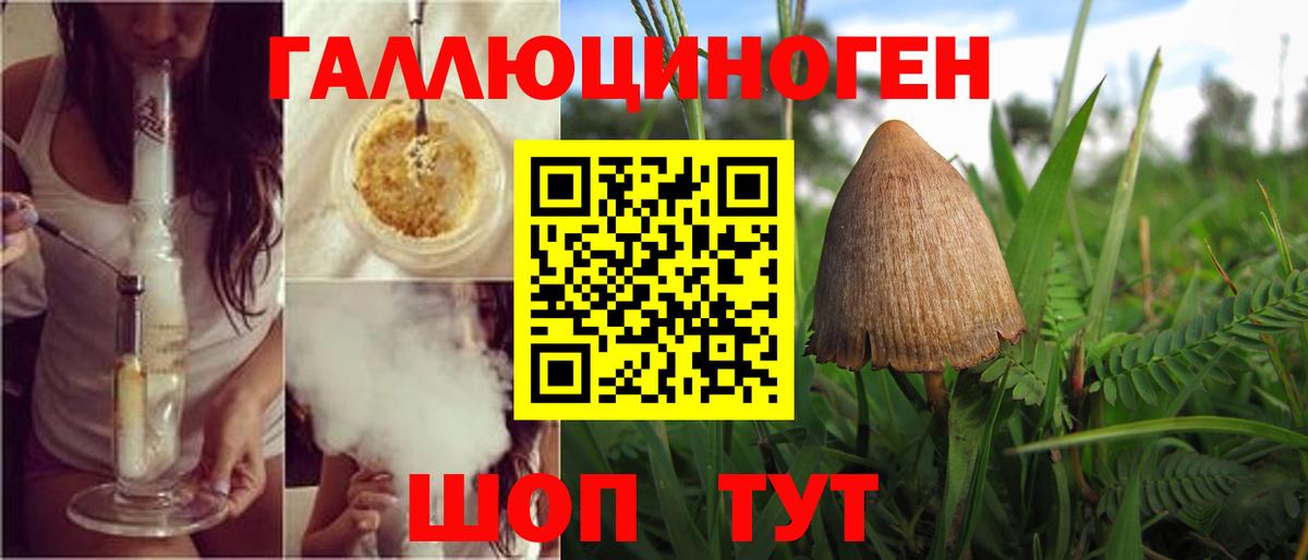 Корсаков  Галлюциногенные грибы мухоморы  Вход с VPN  Галлюциногенные грибы MAGIC MUSHROOMS 